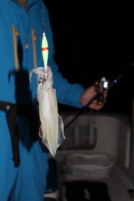 Aquanaut(アクアノート) 釣果