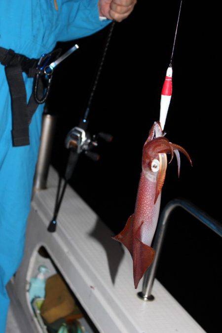 Aquanaut(アクアノート) 釣果