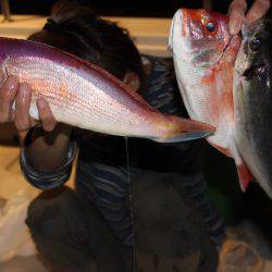 Aquanaut(アクアノート) 釣果