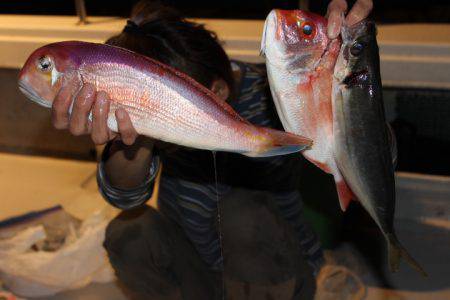 Aquanaut(アクアノート) 釣果