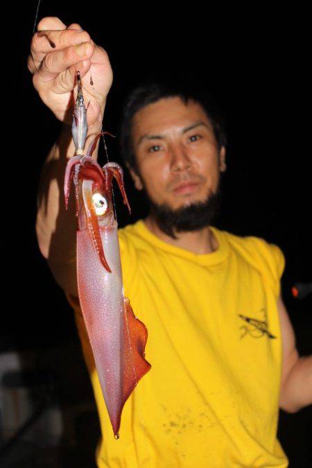 Aquanaut（アクアノート） 釣果