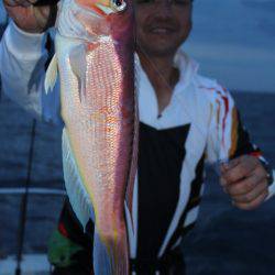 Aquanaut(アクアノート) 釣果