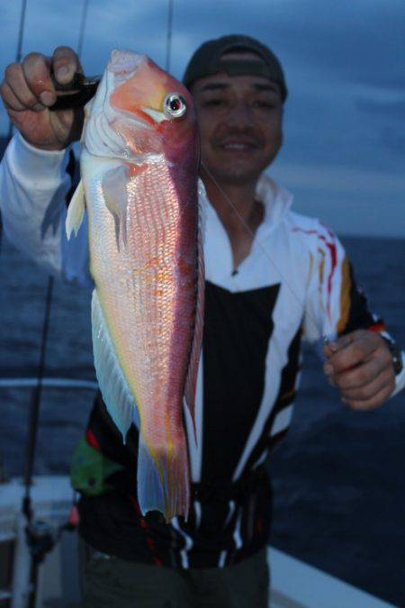 Aquanaut(アクアノート) 釣果