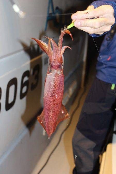 Aquanaut（アクアノート） 釣果