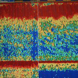 Aquanaut（アクアノート） 釣果