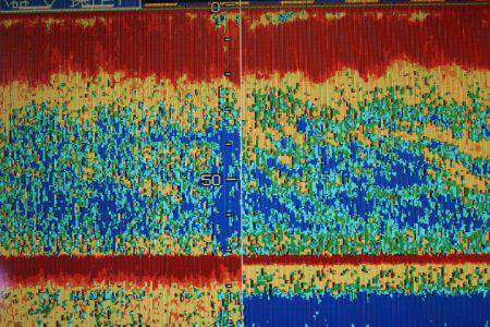 Aquanaut（アクアノート） 釣果