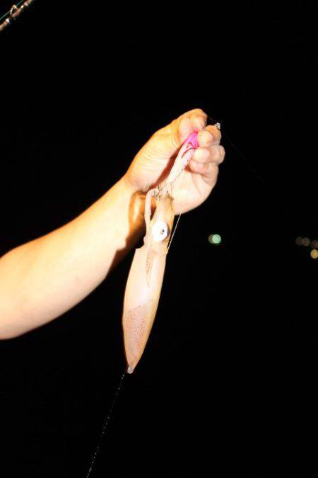 Aquanaut(アクアノート) 釣果