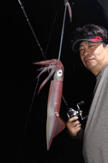 Aquanaut(アクアノート) 釣果