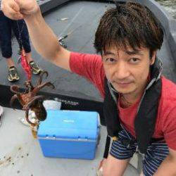 シーマジカル 釣果