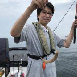 シーマジカル 釣果