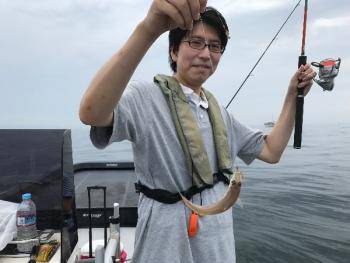 シーマジカル 釣果