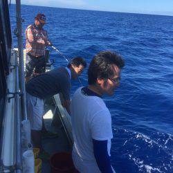 群星・むるぶし 釣果