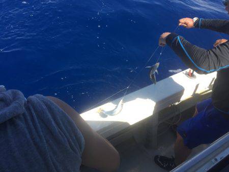 群星・むるぶし 釣果