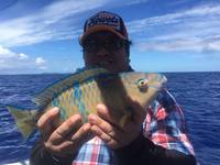 群星・むるぶし 釣果