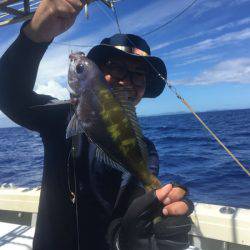 群星・むるぶし 釣果