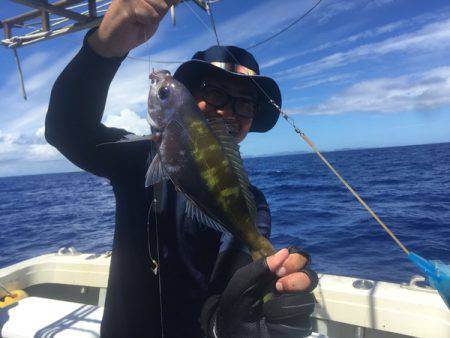 群星・むるぶし 釣果