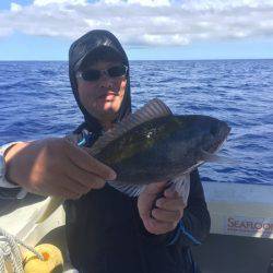 群星・むるぶし 釣果