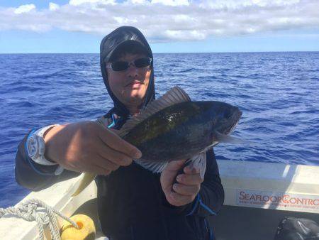 群星・むるぶし 釣果
