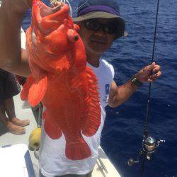 群星・むるぶし 釣果