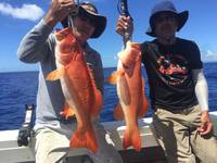 群星・むるぶし 釣果