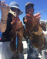 群星・むるぶし 釣果