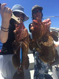 群星・むるぶし 釣果