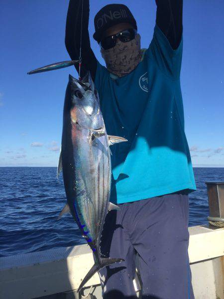 群星・むるぶし 釣果