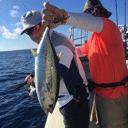 群星・むるぶし 釣果