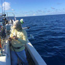 群星・むるぶし 釣果