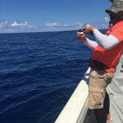 群星・むるぶし 釣果