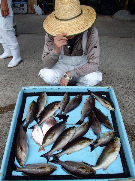 久六釣船 釣果