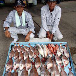 久六釣船 釣果