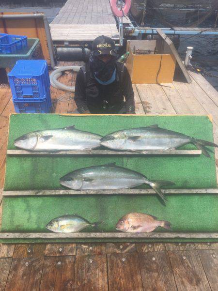 みうら海王 釣果