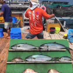 みうら海王 釣果