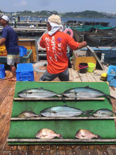みうら海王 釣果