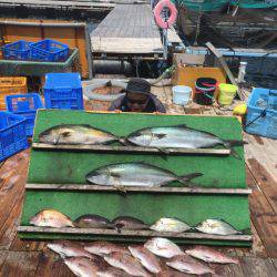 みうら海王 釣果