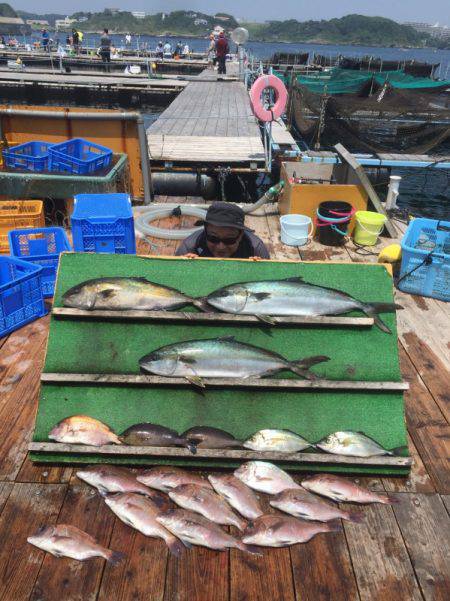 みうら海王 釣果