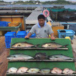 みうら海王 釣果