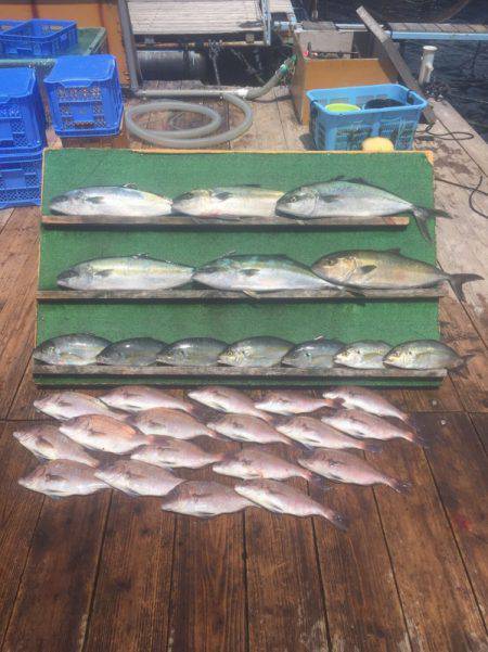 みうら海王 釣果