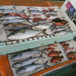 火遠理丸（ほおりまる） 釣果