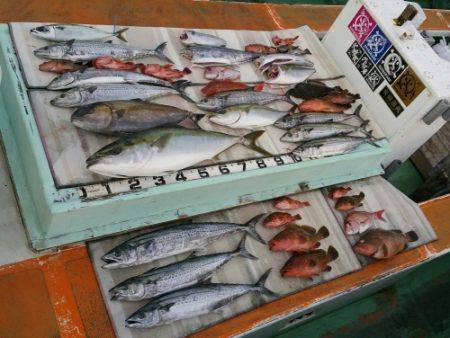 火遠理丸（ほおりまる） 釣果