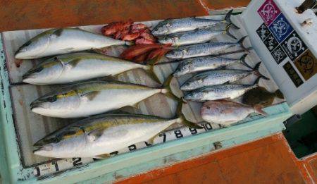 火遠理丸（ほおりまる） 釣果