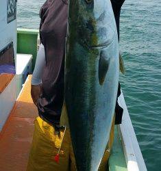 火遠理丸（ほおりまる） 釣果