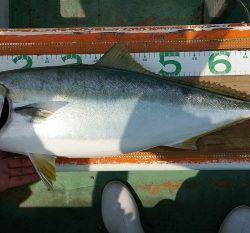 火遠理丸（ほおりまる） 釣果