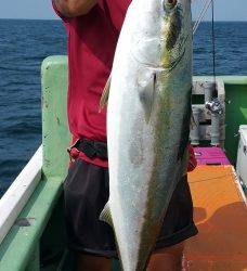 火遠理丸（ほおりまる） 釣果