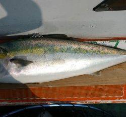 火遠理丸（ほおりまる） 釣果