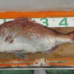 火遠理丸（ほおりまる） 釣果