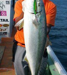 火遠理丸（ほおりまる） 釣果