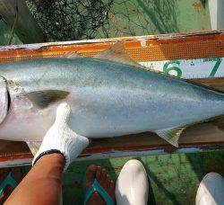 火遠理丸（ほおりまる） 釣果