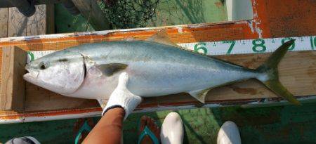 火遠理丸（ほおりまる） 釣果